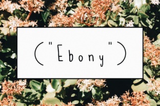 Ebony Font Review: A Handwritten Typeface for Warm Editorial Design