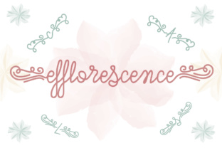 Efflorescence: A Script Font That Works in Campaign Design