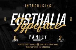 Eusthalia Family: A Web Designer's Test Drive for Brand Typography