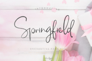 Springfield Typeface: A Handmade Script That Brings Warmth to Web Design