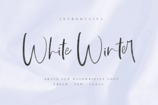White Winter Typeface Review: A Script Font Built for Digital Branding